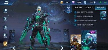 雪王新皮肤爆料视频,冰封之美，冬日里的璀璨之星