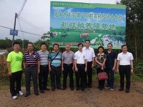 近日陆丰市大安镇爆料新闻,村民爆料事件引发关注  第1张