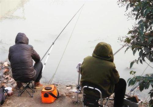 钓鱼爆料视频,视频爆料钓鱼技巧大公开 第1张 钓鱼爆料视频,视频爆料钓鱼技巧大公开 第1张